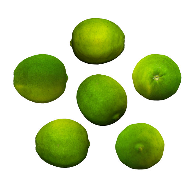 酸橙水果白色背景多角度3d渲染图片下载