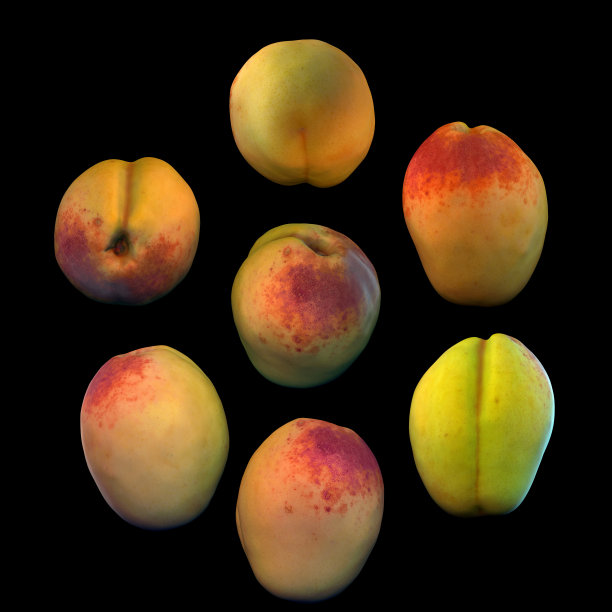 杏果黑色背景多角度3d渲染图片下载