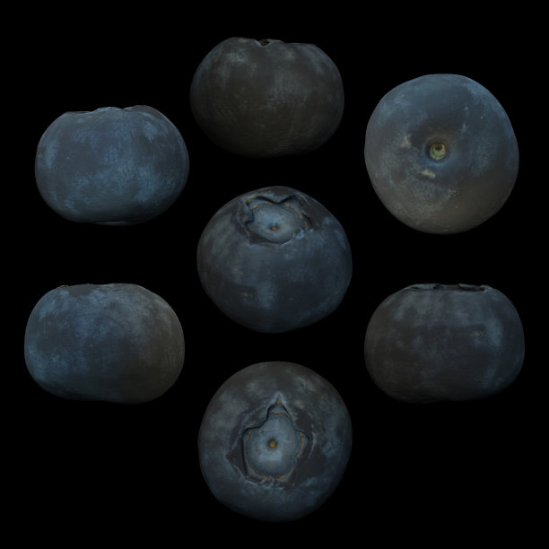 蓝莓果黑色背景多角度3d渲染图片下载