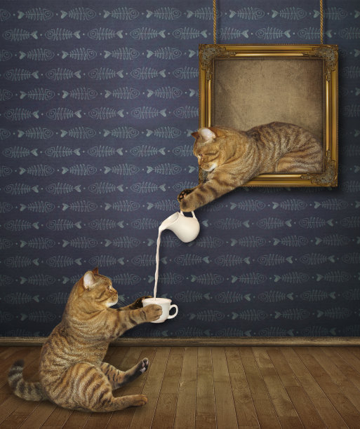 猫用牛奶招待它的朋友图片下载