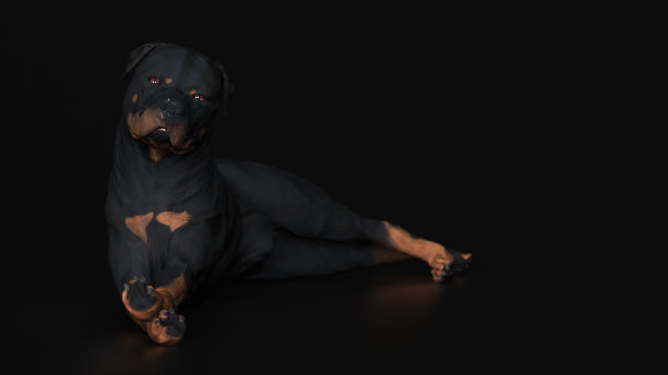 罗威纳犬躺在地板上扭曲的头部3d渲染图片下载