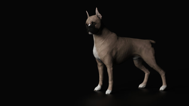 拳击手站着，看转身头侧视图黑色地板3d渲染图片下载