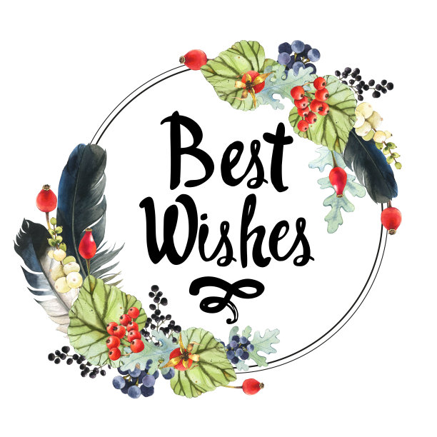 插图与水彩冬季浆果和植物。美丽的自然花卉组成在黑色的背景。真实的雪莓，羽毛，野玫瑰，葡萄和秋海棠叶。圆的框架。图片下载