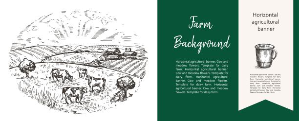 牛在牧场上吃草。用素描的风格来描绘农业。水平农业旗帜。图片下载