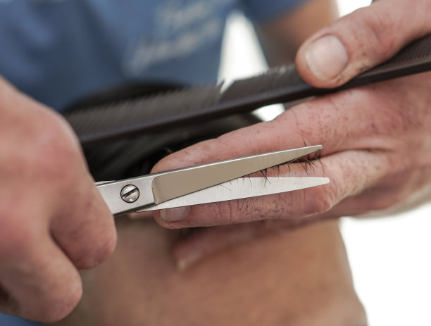 理发师理发的过程。沙龙里的男人捋着头发。用剪刀手。设计图片图片下载