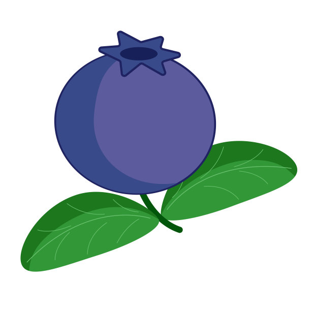 森林浆果，带叶子的蓝莓。野生浆果蓝色。图片下载