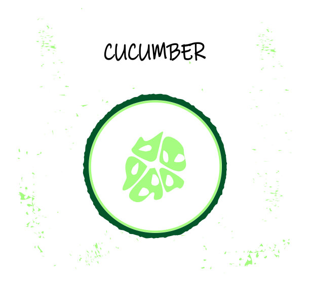 黄瓜片-夏季蔬菜的载体说明。图片下载