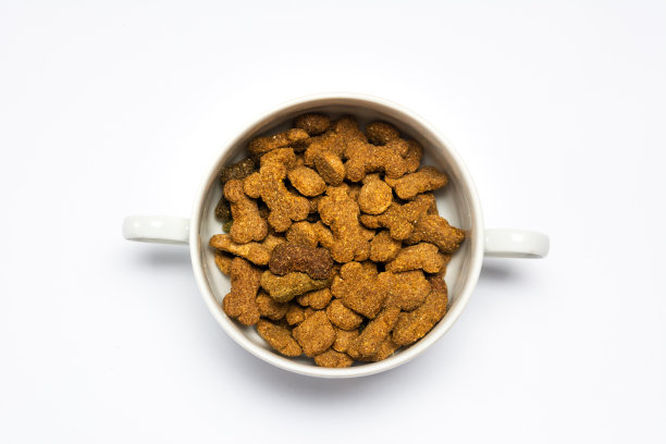 碗里有狗粮图片下载