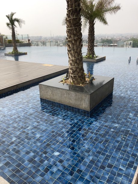 印度北方邦，屋顶游泳池，高高的棕榈树，蓝色马赛克瓷砖，阿格拉天际线照片图片下载