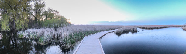 点贝利国家公园-全景三月木板路图片下载