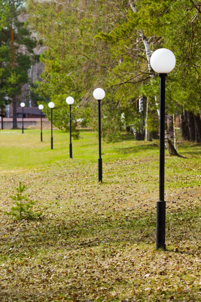 白色的玻璃球灯在黑色的杆子上排成一排，公园里有草和树图片下载