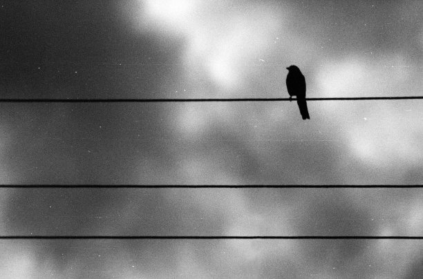 最小的俳句的风格。图片下载