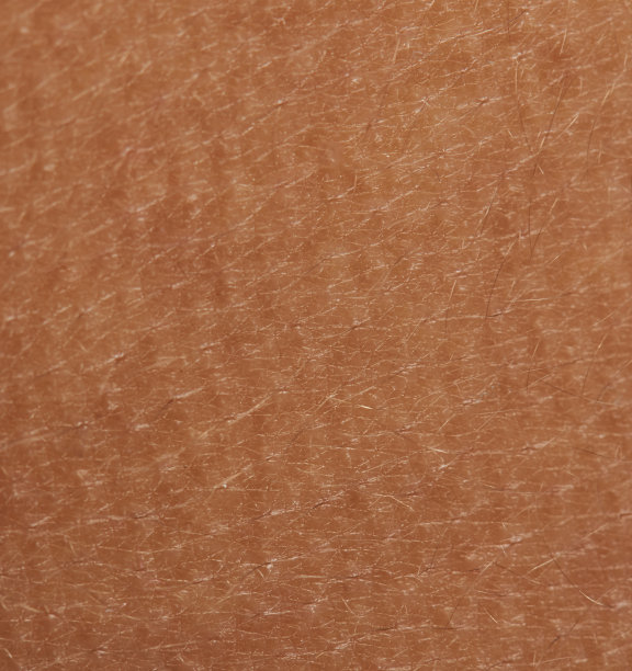 干净的棕色人体皮肤背景图片下载