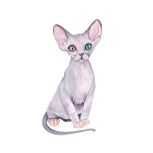 水彩可爱的猫。水彩画织物，明信片，贺卡，书，海报，t恤。说明,孤立的对象。图片下载