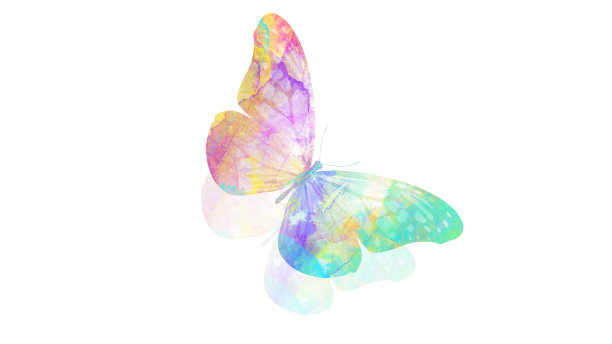 水彩蝴蝶。用于设计的热带昆虫。在白色背景上隔离图片下载