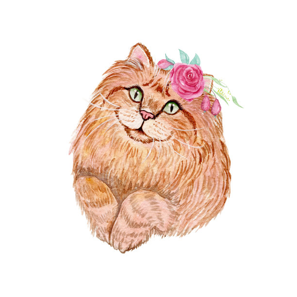 水彩画可爱的毛绒绒的猫与花。水彩画织物，明信片，贺卡，书，海报，t恤。说明,孤立的对象。图片下载