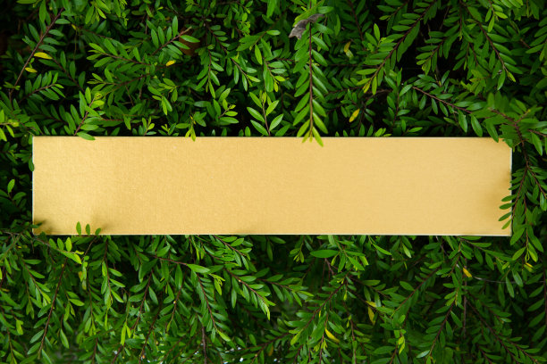 卡片放在草地上图片下载