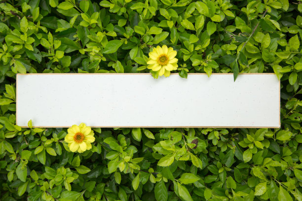 卡片放在草地上图片下载