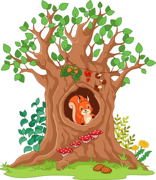 房子的松鼠图片下载