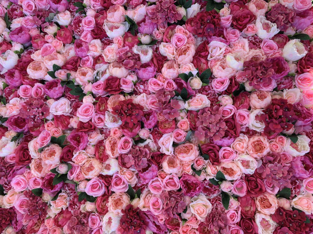 花的背景图片下载