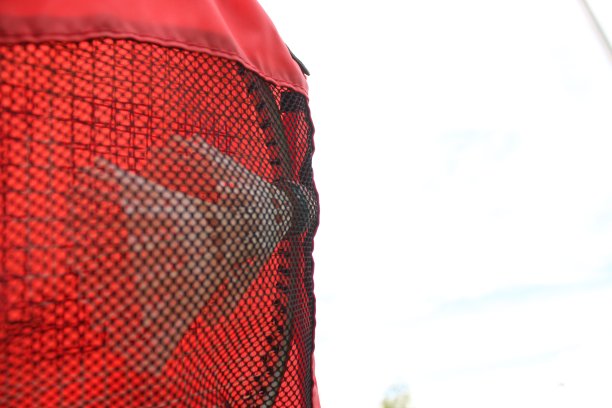 白色的羽毛球在绿色的草地上图片下载