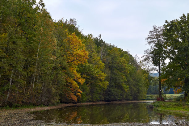 绿色的森林和河流。森林湖。这条河在树林中流过。美丽的自然景色。绿色森林景观照片。森林自然在一个晴朗的日子。德国美丽的自然风光。图片下载