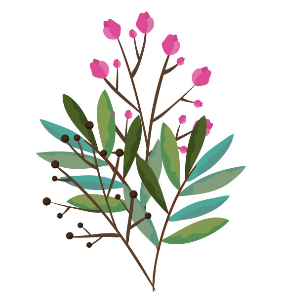 美丽的花朵和叶子装饰图片下载