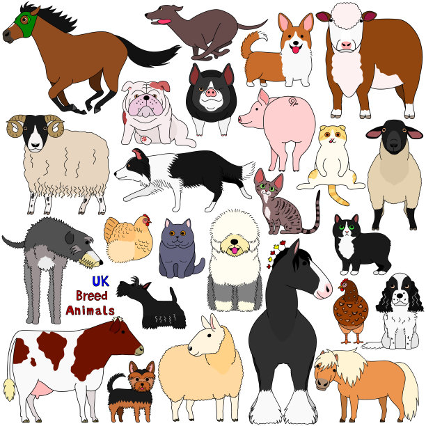 英国品种家畜涂鸦图片下载