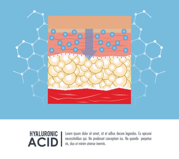 透明质酸注射液填充物信息图图片下载