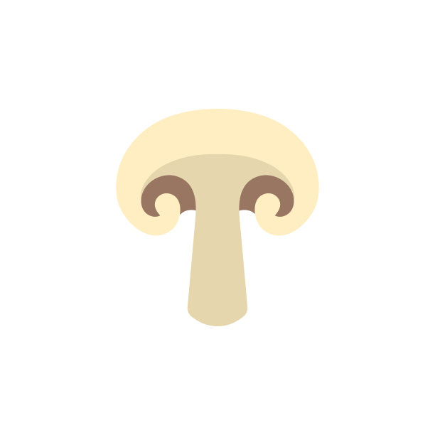 白色背景上分离的新鲜香槟。蘑菇图标市场，食谱设计。有机食品。卡通风格。矢量插图设计。图片下载