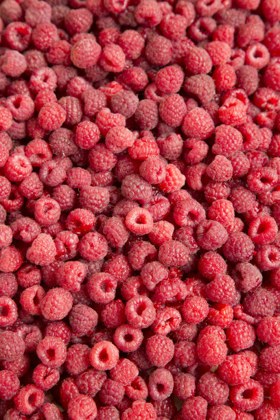 新鲜的覆盆子，低角度视角。图片下载