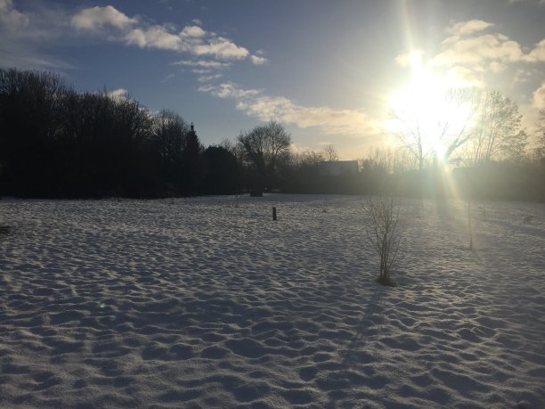 雪在诺曼底图片下载