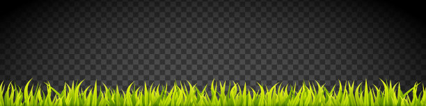 草旗帜。谷物芽。春天的绿色增长。绿色草皮覆盖条纹。图片下载