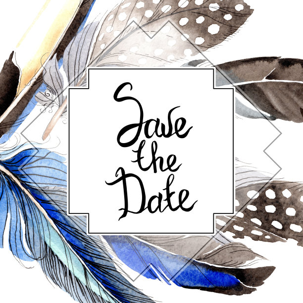 鸟羽毛从翅膀孤立。水彩背景插图集。边框装饰方形。图片下载