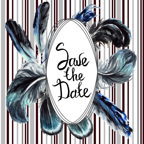 蓝色黑色鸟羽毛从翅膀孤立。水彩背景插图集。边框装饰方形。图片下载