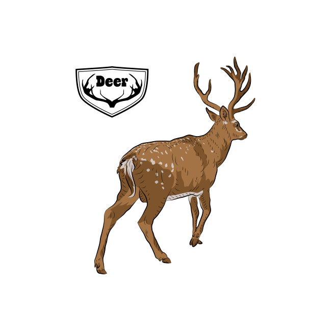 鹿跑。素材图片