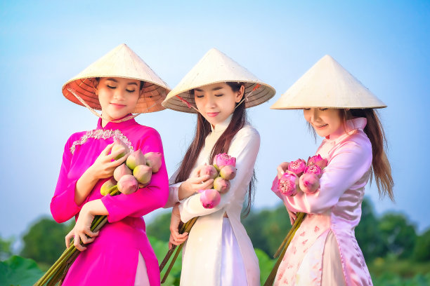 日落时分，越南妇女正在采莲。图片下载