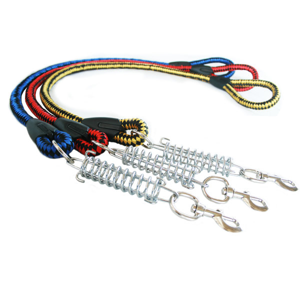 宠物用品关于皮带的宠物在白色的背景。图片下载