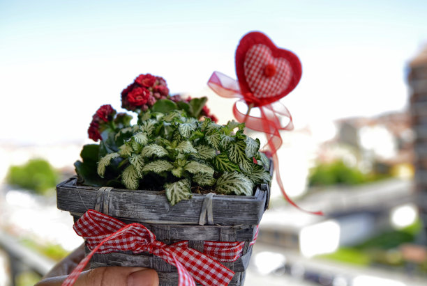 这张照片是为母亲节拍摄的一束小巧漂亮的鲜花。一个由织物和毛毡制成的心形让人想起周年纪念。花瓶灰篮子，红花。模糊的背景。图片下载