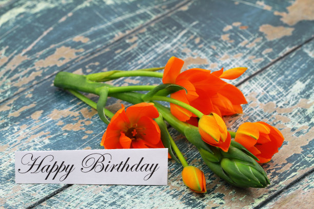 生日贺卡，桔黄色的花在质朴的木头表面图片下载