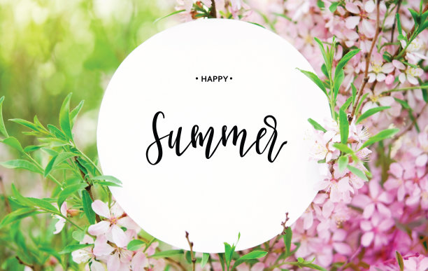 铭文快乐的夏天。用花朵和树叶做成的圆纸卡片。——图片图片下载