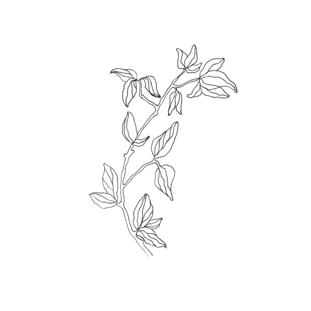 令人难以置信的颜色图案。孤立在白色背景上。图片下载