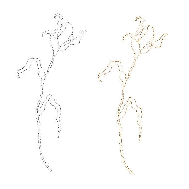 令人难以置信的金色和银色图案。在白色背景上隔离图片下载