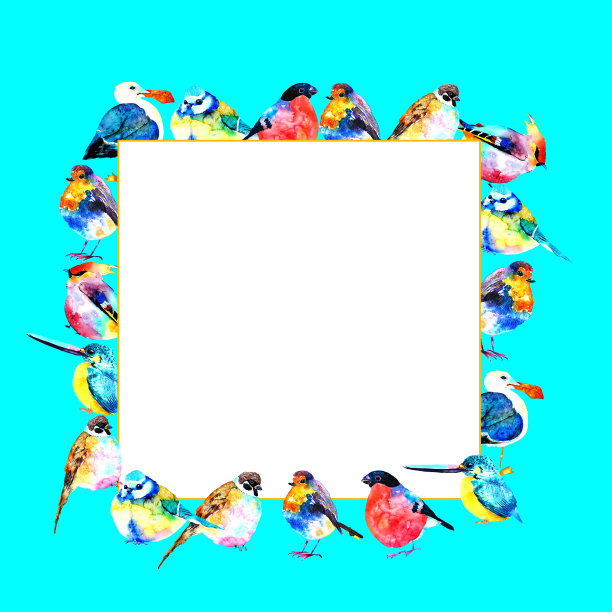 水彩卡片与鸟，邀请，复古模板，蓝色框架。手绘画图:红腹灰雀，山雀，知更鸟，麻雀，海鸥，蜡翅，翠鸟。图片下载