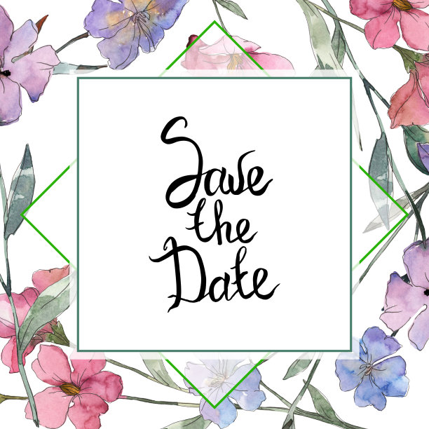 粉红色和紫色的亚麻花植物花。水彩背景插图集。边框装饰方形。图片下载