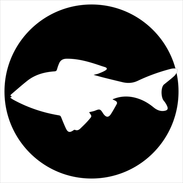 矢量图标和插图鱼-矢量图片下载