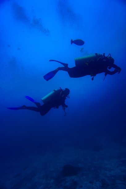 潜水员图片下载