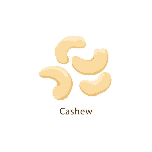 在平面设计中，腰果孤立在白色背景矢量插图上。图片下载
