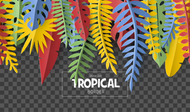 时髦的夏季边界与热带树叶图片下载