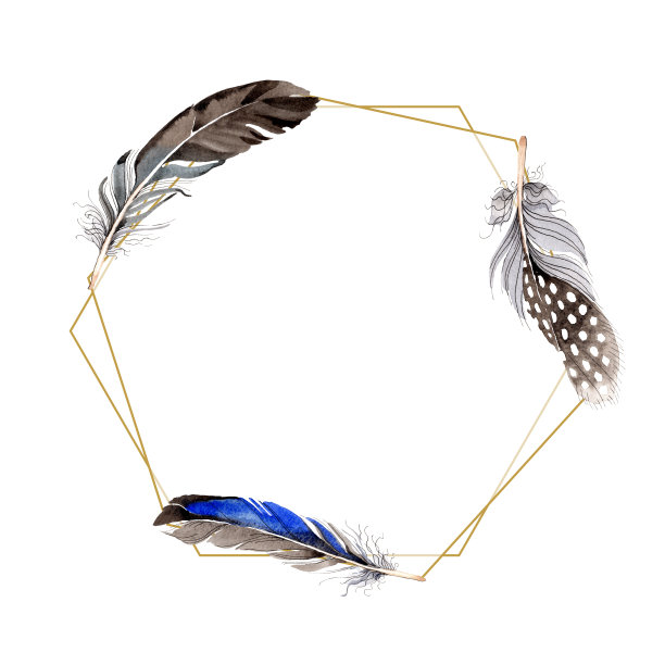 水彩蓝色和黑色鸟类羽毛从翅膀孤立。边框装饰方形。图片下载